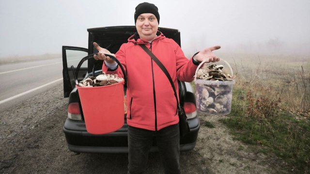 Тихая охота в самом разгаре