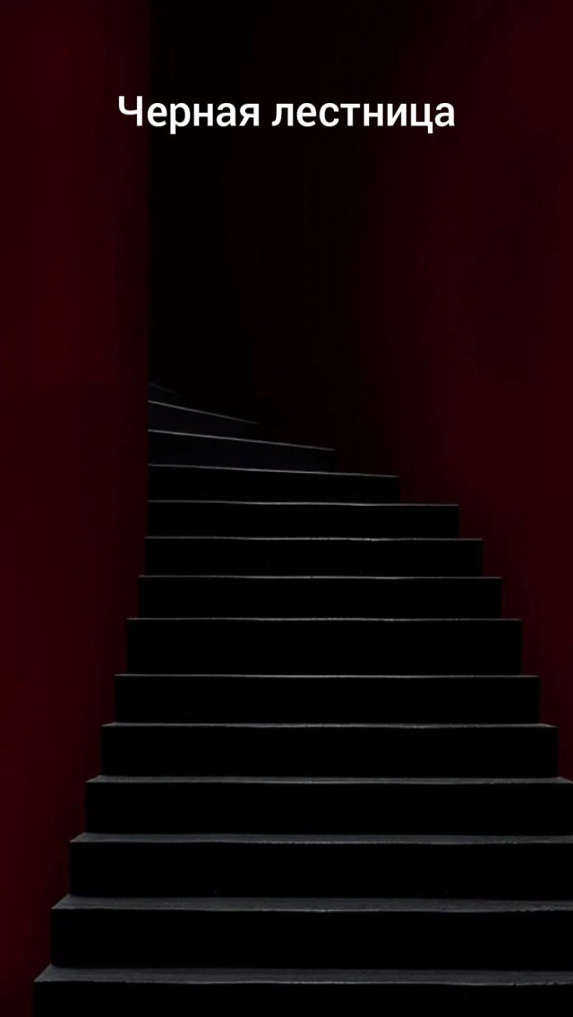 Спортики вывезли в лес