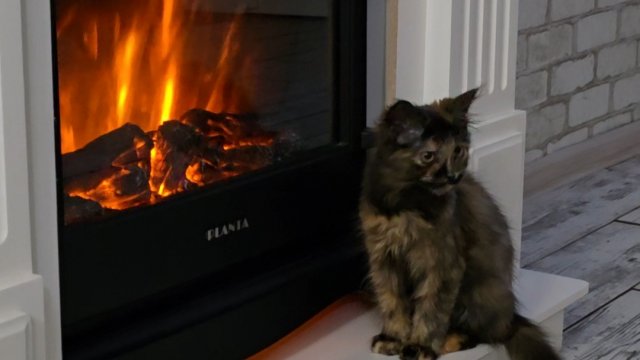 ✨️Я осталась без хрена✨️Пошёл в разнос✨️