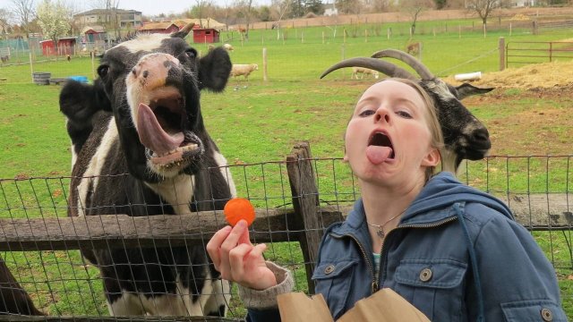 РУССКИЕ НЕ СДАЮТСЯ!!! РУССКИЕ ПРИКОЛЫ НА РУТУБ 2025