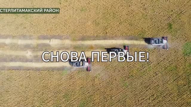 Поздравление с Днем Сельского хозяйства РБ