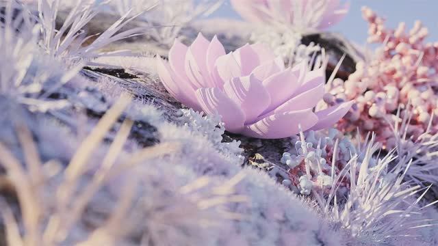 Встреча в Москве | Пробуждение Родовых Ритмов