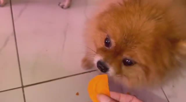 Все получили немного витаминчиков.