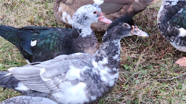 День отдыха.11 ноября.