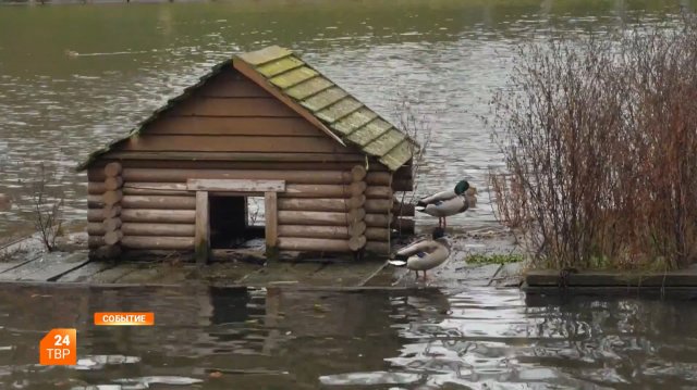 Прогноз погоды