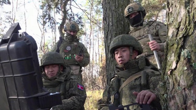 В Курской области плечом к плечу вместе с российскими саперами разминируют территорию бойцы из КНДР
