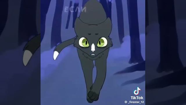 Коты воители❤❤❤