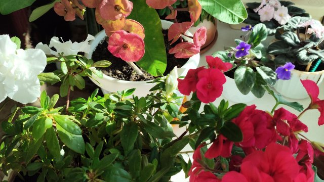 О себе нельзя забывать..И окружающие это чувствуют!!