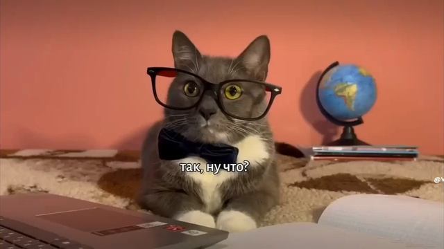 Like_7572648722791268869.mp4