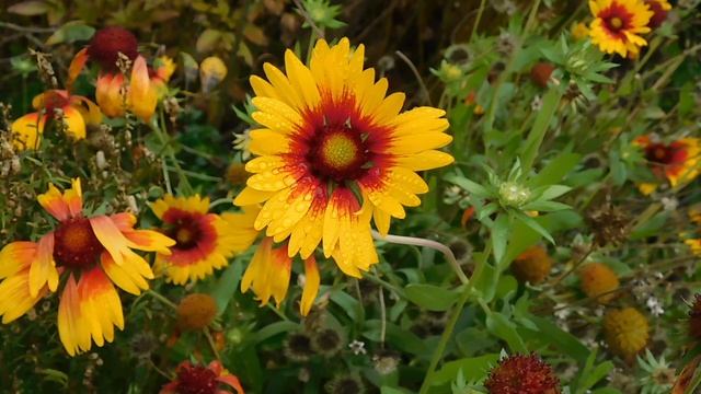 14=11=2025 ник ПВН наб (18)