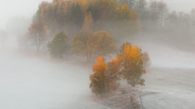 Утренний Туман