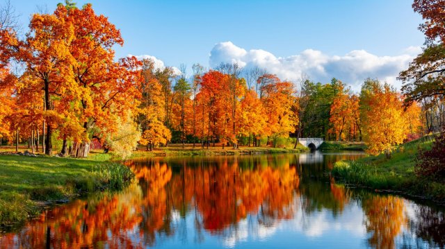Трансляция Богослужения Новоапостольской Церкви, г.Москва, 16.11.2025, 10:00 мск