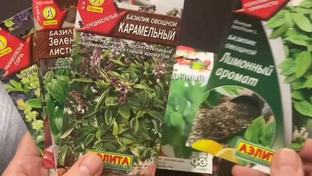 РАЗНООБРАЗИЕ АРОМАТОВ БАЗИЛИКА