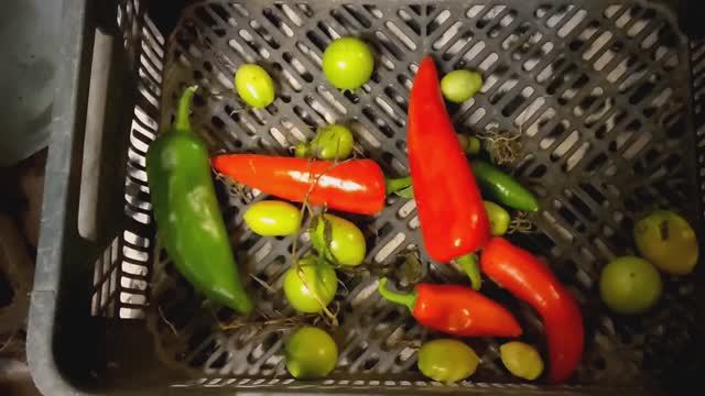 Очень позитивное видео