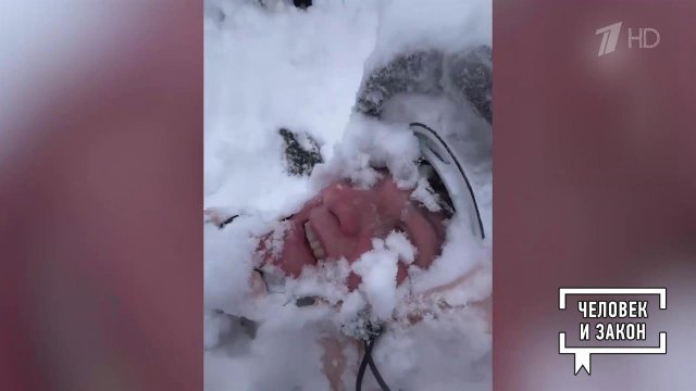 Видео недели. Необычные происшествия. Человек и закон. Фрагмент выпуска от 14.11.2025