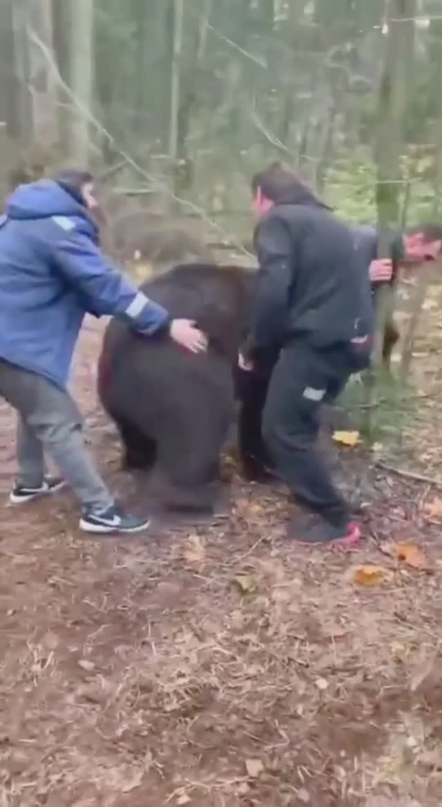 Снегоход Лифан Лончин Рыбалка Охота