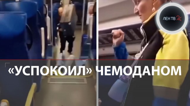 Поляк чемоданом обезвредил агрессивную безбилетницу с ножом в поезде