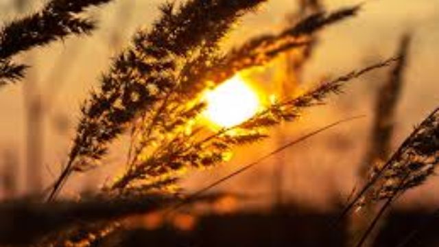 15 ноября - Акиндин и Пигасий. Народные приметы и традиции