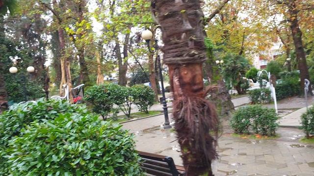 Сочи, Цветной бульвар 14 ноября!