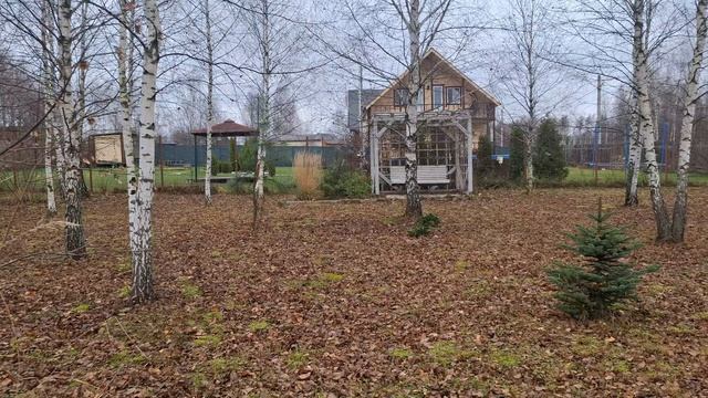 На дачу. В теплый дом. Черновые полы в терассе. Про грибы