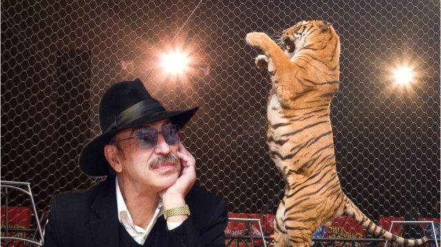 Михаил Боярский Песня дрессировщика ремикс ап и тигры у ног моих сели REMIX Dj YouRA Музыка хит 90х