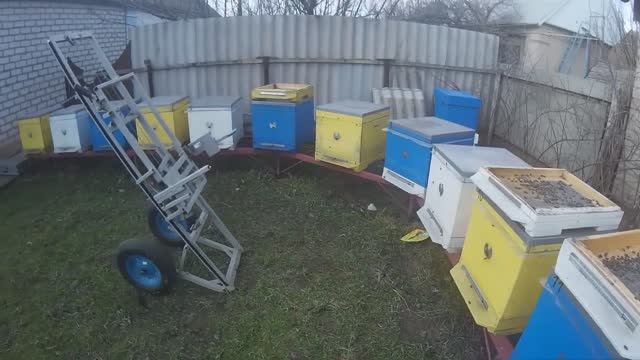 Чистка доньев весенние работы на пасеке