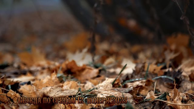 РекЛика 14 ноября 2025