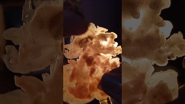 нападают бывшие