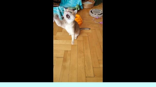 ABUSTAR SUVENIR PENELOPA