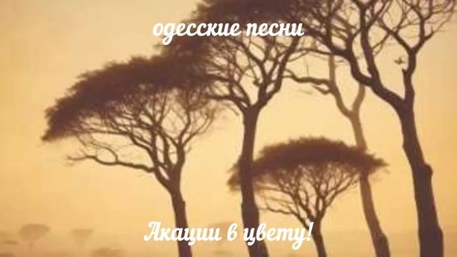 Акации в цвету! Песня за Одессу. Odessa song