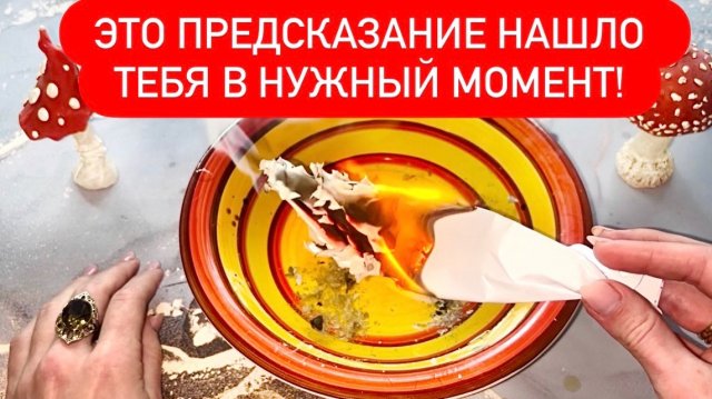 ‼️Это ПРЕДСКАЗАНИЕ нашло ТЕБЯ в НУЖНЫЙ момент!⚡️⚡️