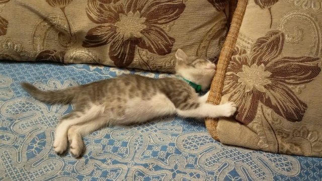 Зал современной живописи. Воронеж. Краеведческий музей.