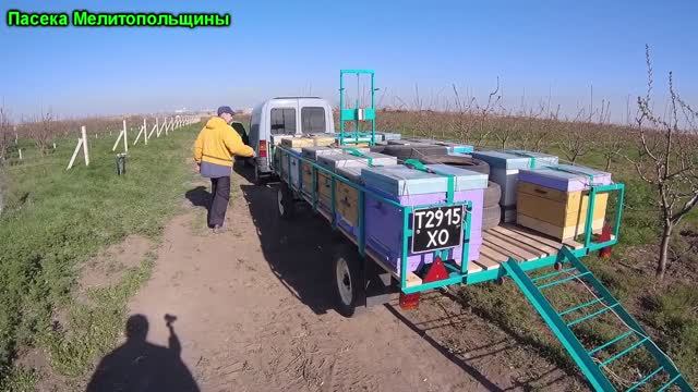 Выезд на пасеку опыление садов