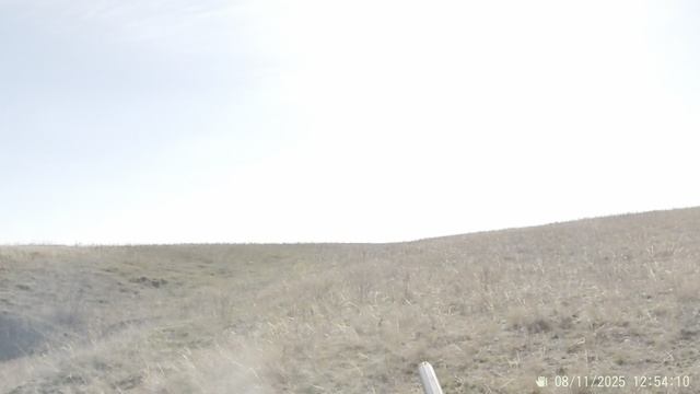 Два дня охоты на зайца в Волгоградских степях. Ружье Franchi Affinity кал.12