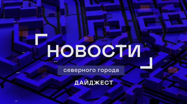 ДАЙДЖЕСТ «СЕВЕРНОГО ГОРОДА»,14.11.2025