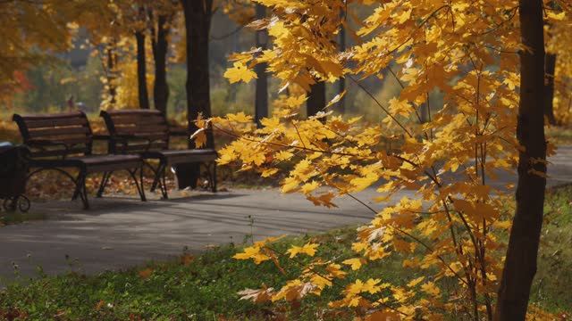 Осенний Миг