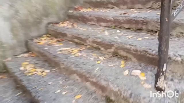 ЗИМУЕМ У МОРЯ.ЛАЗАРЕВСКОЕ.ОТЕЛЬ ТИХИЙ РАЙ.ДОРОГА ДО МОРЯ.