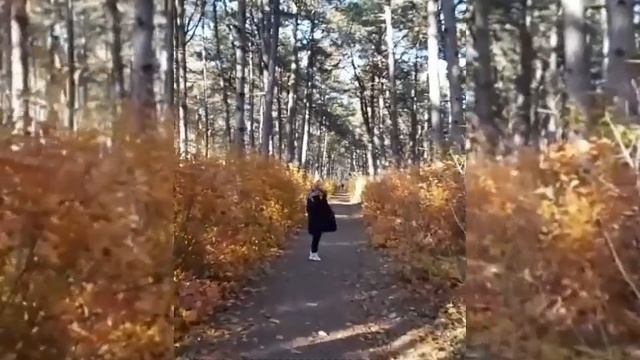 Песни. ПУТЕВОДНАЯ ЗВЕЗДА