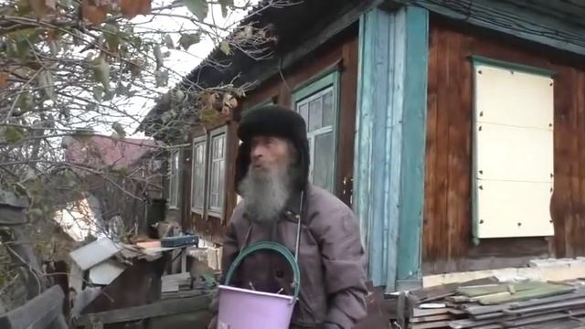 Калина красная.