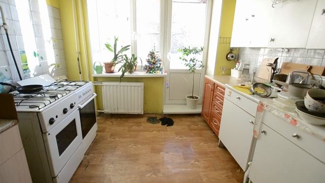 №10364336 Россия, Санкт-Петербург, улица Димитрова, 3, кв 2