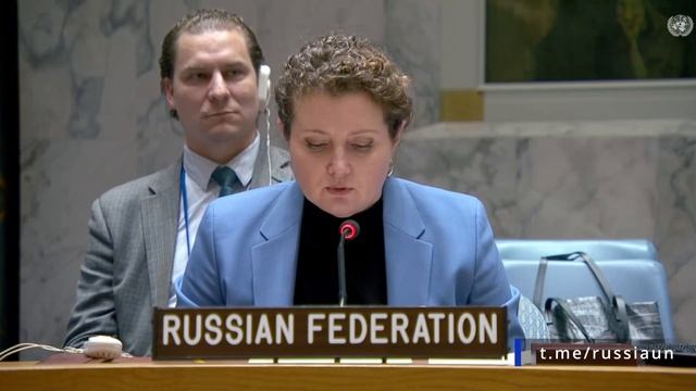 А.М.Евстигнеева в ООН о продлении мандата Временных сил ООН по безопасности в Абьее, 14 ноября 2025