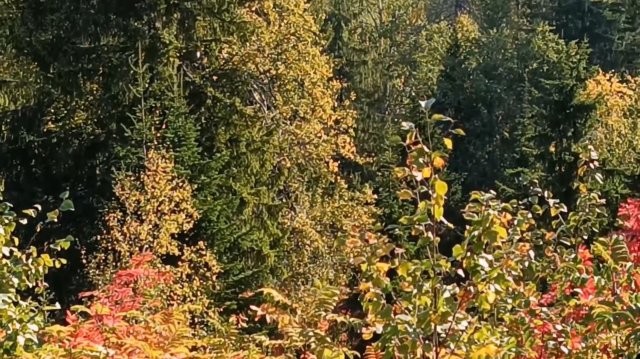 ПЕРМСКИЙ КРАЙ. НА СМОТРОВОЙ ПЛОЩАДКЕ