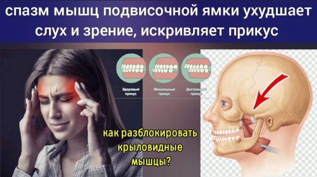 Подвисочная ямка влияет на прикус, слух, зрение, здоровье зубов и мозга. Методы декомпрессии