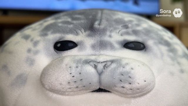 ЗАГОВОР ТЮЛЕНЯ Артикул на ВБ: 193431345 #тюлень #тюлени #игрушки #мягкиеигрушки #sora #прикол