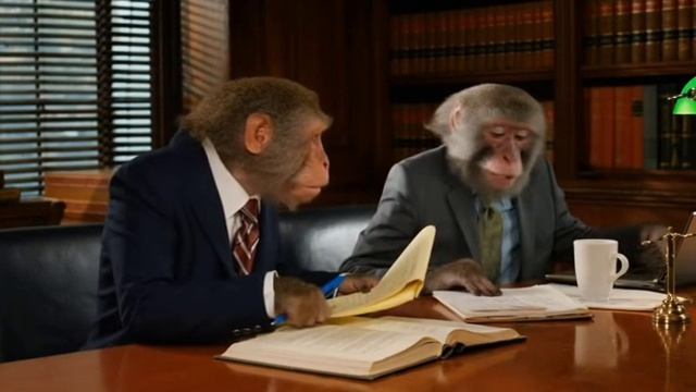 юристы спорят