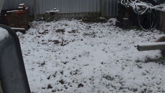 Первый снег