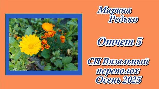 СП "Вязальный переполох. Осень 2025" / Отчет 5
