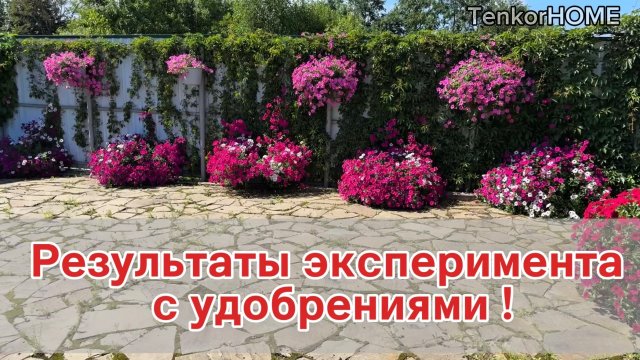 Результат эксперимента с удобрениями