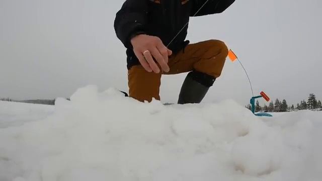 Первый лёд продолжается 2025-2026г. Бешенный клёв на таёжном озере! Рыбалка на жерлицы!