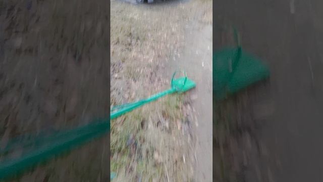 поехали к акулисту с Басиком и Васей